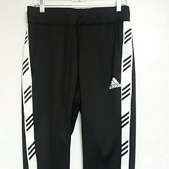 adidas pro madness pants